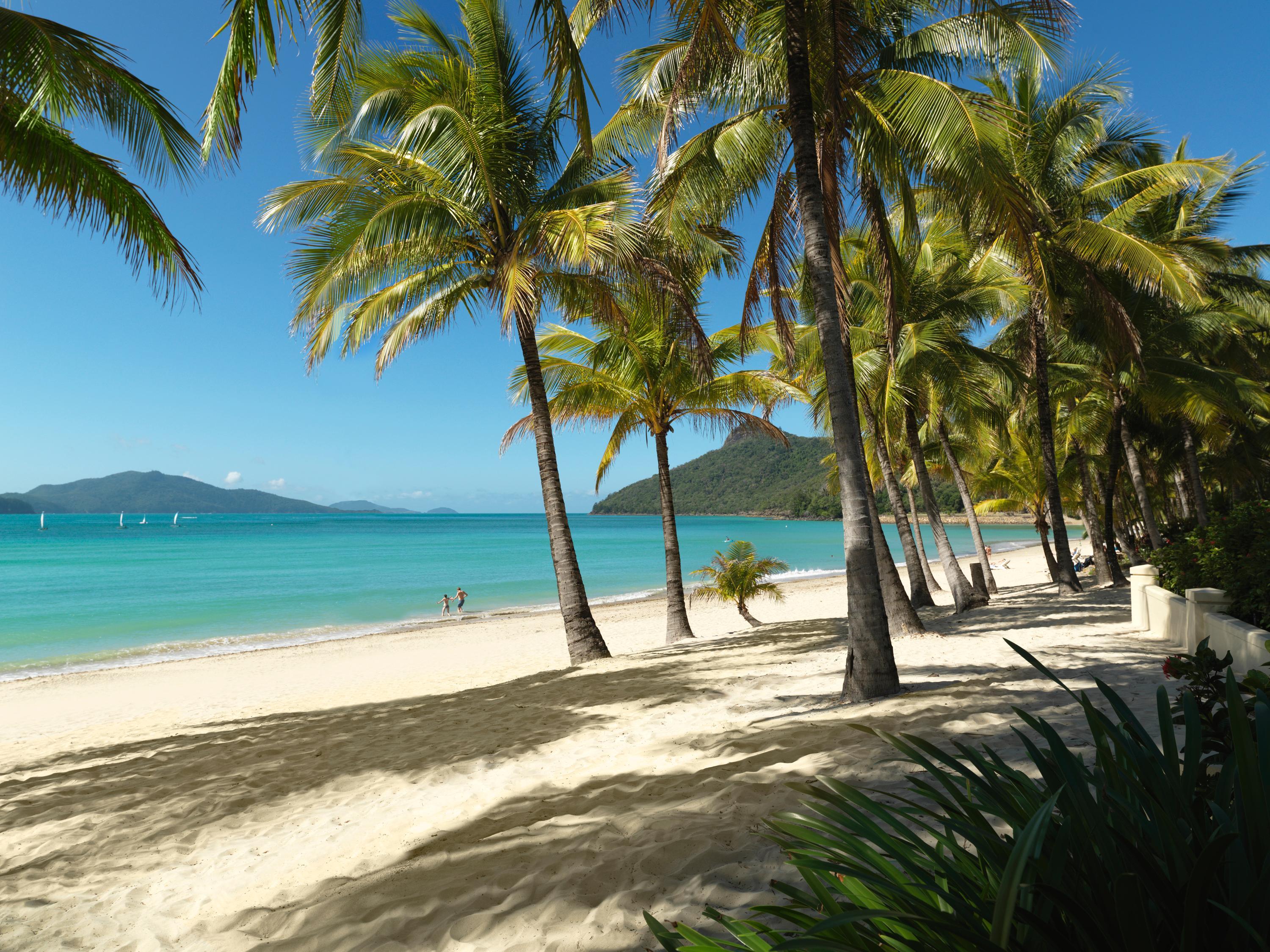 Reef View Hotel Đảo Hamilton Ngoại thất bức ảnh